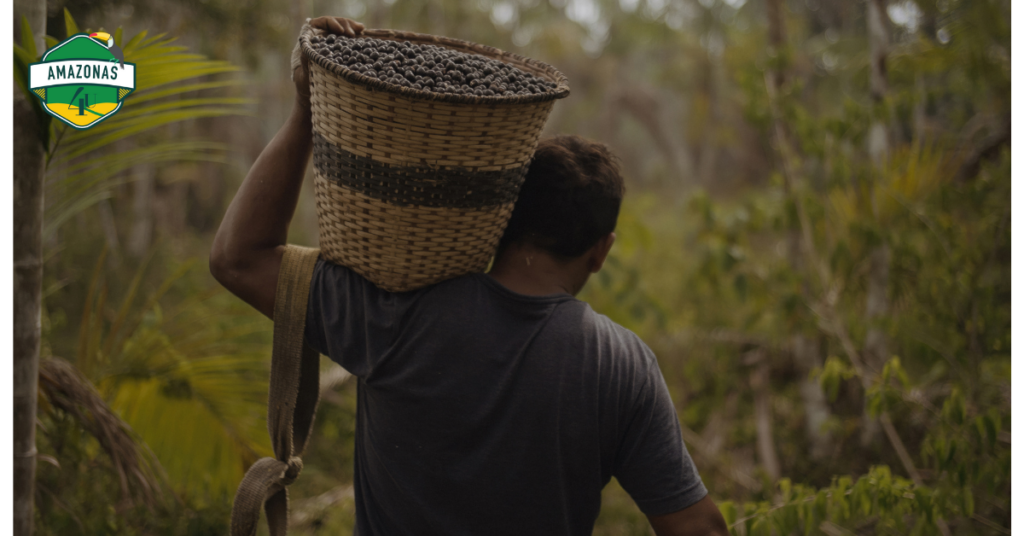 Acai Suppliers in Dubai